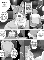 Quán Bar Gay